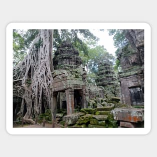 Ta Prohm Temple, Siem Reap, Cambodia Sticker